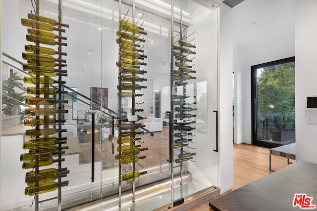 wine room with wood-type flooring