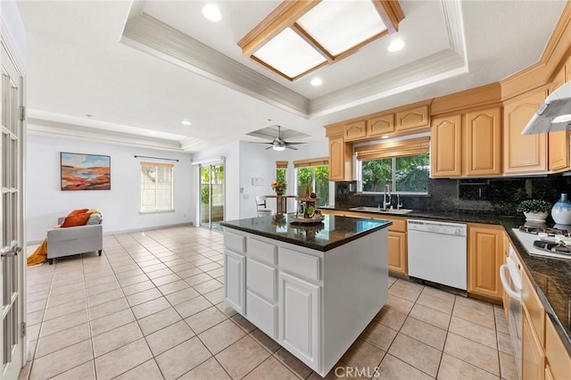 kitchen with white dishwasher, a center island, a raised ceiling, and a wealth of natural light