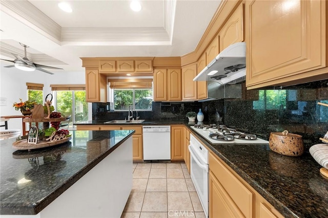 kitchen featuring sink, a raised ceiling, backsplash, crown molding, and white appliances