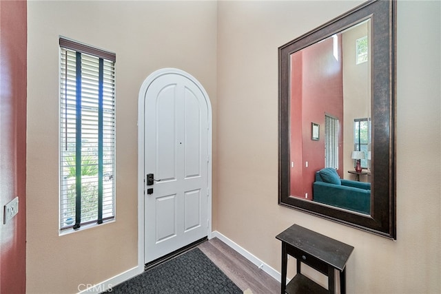 entryway with wood-type flooring and plenty of natural light