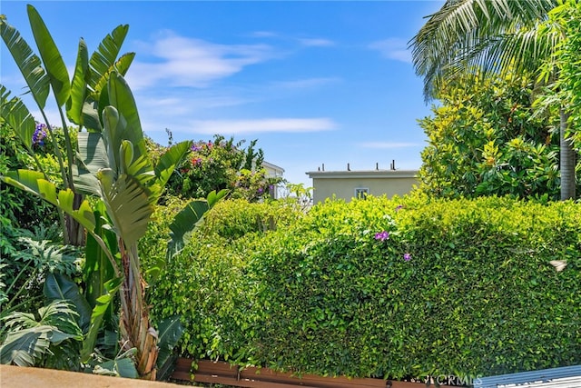 1165 Noria St, Laguna Beach, CA 92651 - view of yard