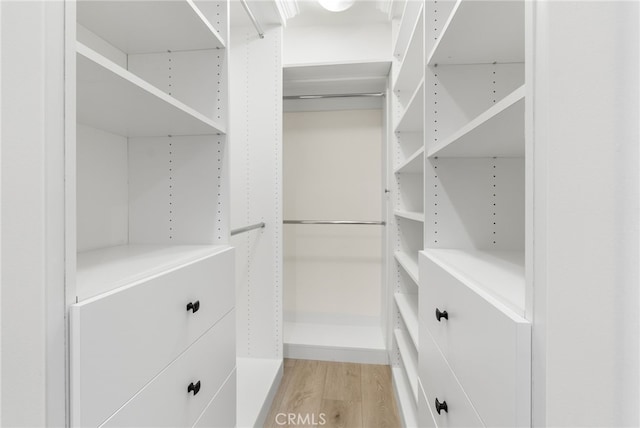 spacious closet featuring light hardwood / wood-style floors