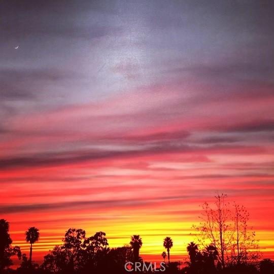 view of nature at dusk