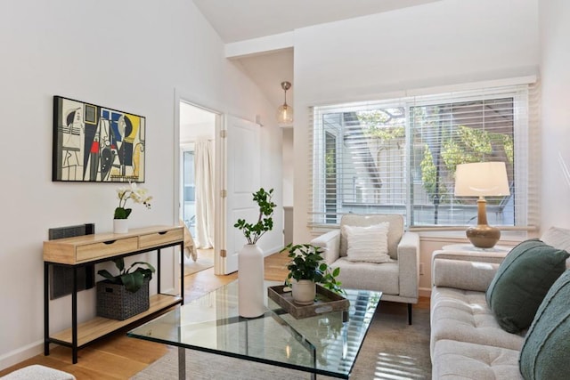 living room with vaulted ceiling and hardwood / wood-style floors