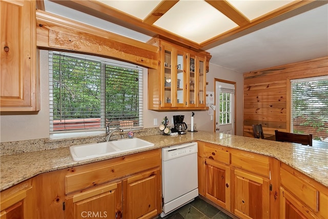 kitchen featuring wood walls, dishwasher, sink, and a wealth of natural light