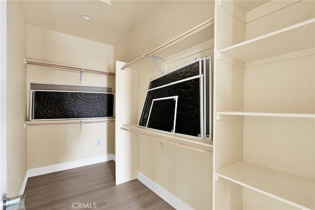 walk in closet with hardwood / wood-style floors