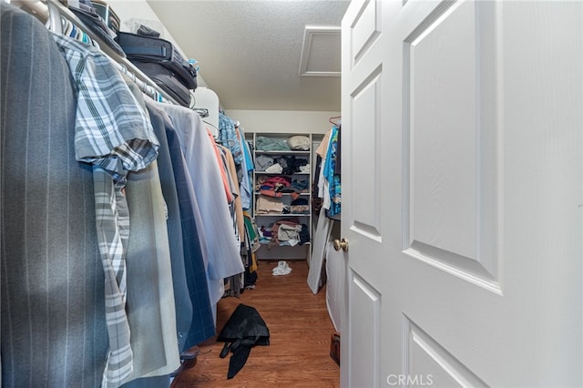 walk in closet featuring dark hardwood / wood-style floors