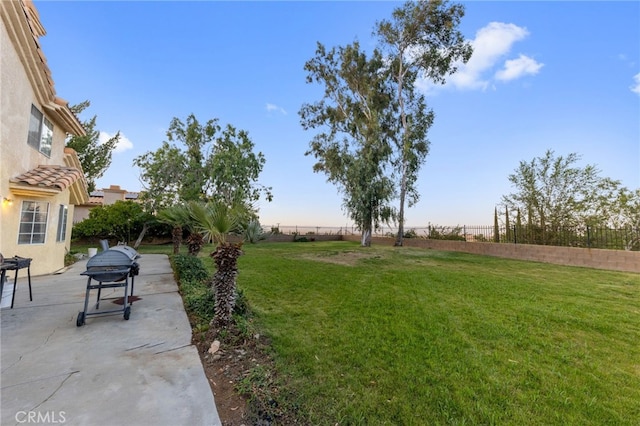 view of yard featuring a patio