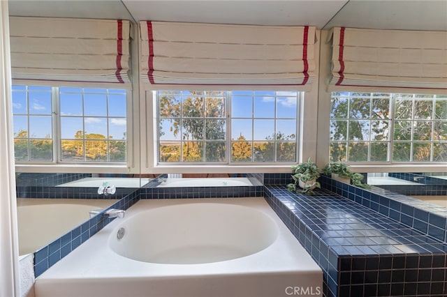 bathroom with a bathing tub and plenty of natural light