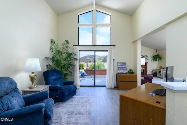 office with hardwood / wood-style floors and high vaulted ceiling