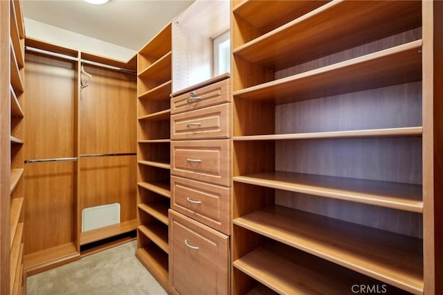 spacious closet featuring light carpet