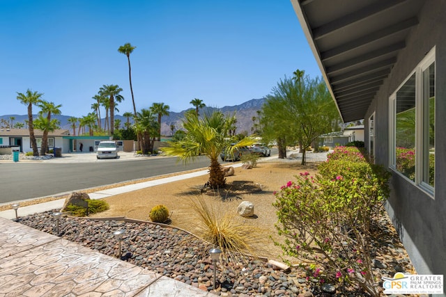 view of yard featuring a mountain view