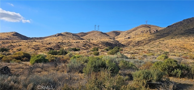 Listing photo 2 for 0 Soledad Pass Rd, Acton CA 93550