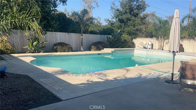 view of swimming pool featuring a patio area