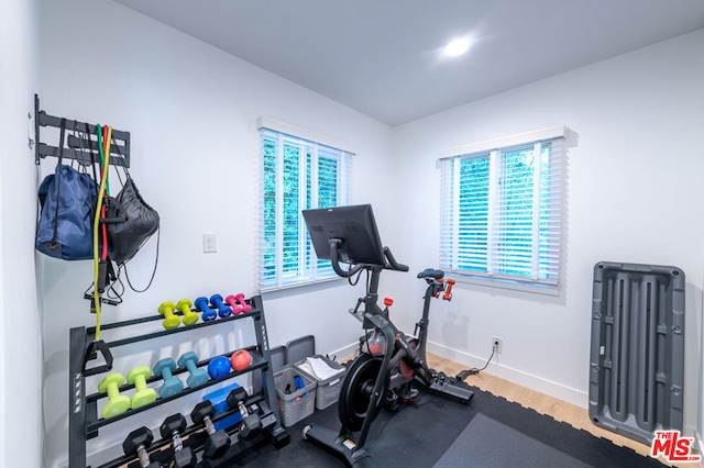 workout room featuring hardwood / wood-style flooring