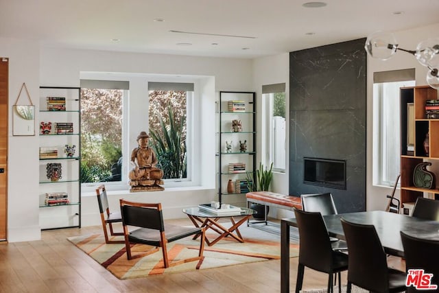 living area featuring light hardwood / wood-style floors