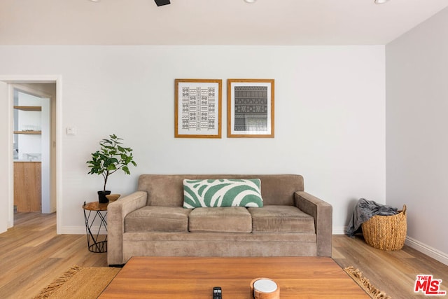 living room featuring hardwood / wood-style floors