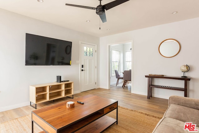 living room featuring ceiling fan and light hardwood / wood-style flooring