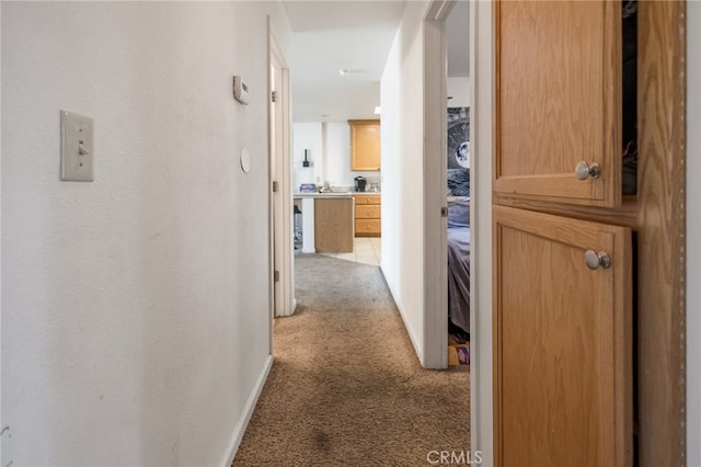 corridor featuring carpet flooring