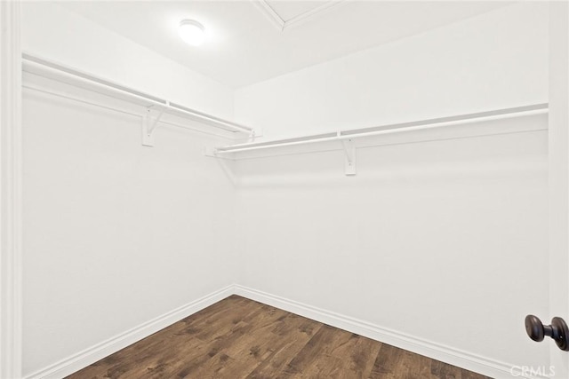 walk in closet with dark wood-type flooring