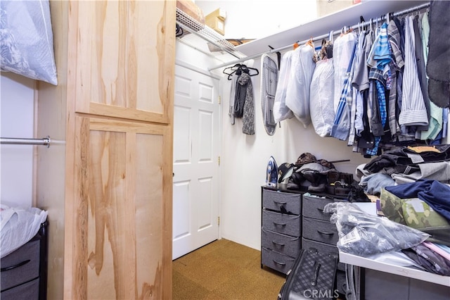 spacious closet with light colored carpet