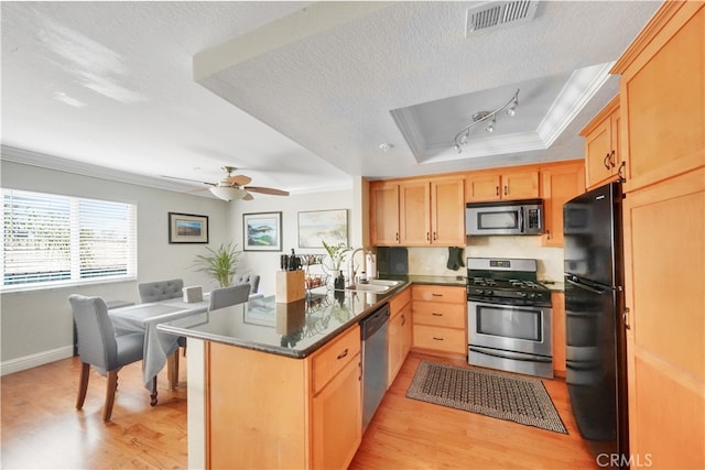 kitchen featuring light wood-type flooring, a raised ceiling, appliances with stainless steel finishes, and crown molding