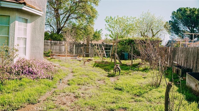 view of yard featuring a fenced backyard