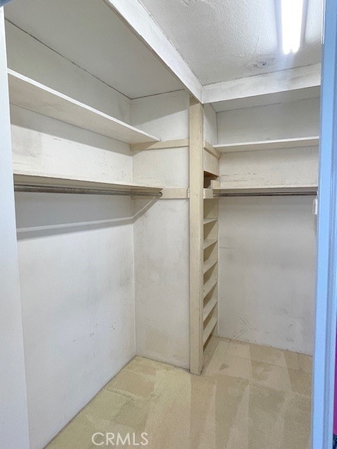 view of walk in closet