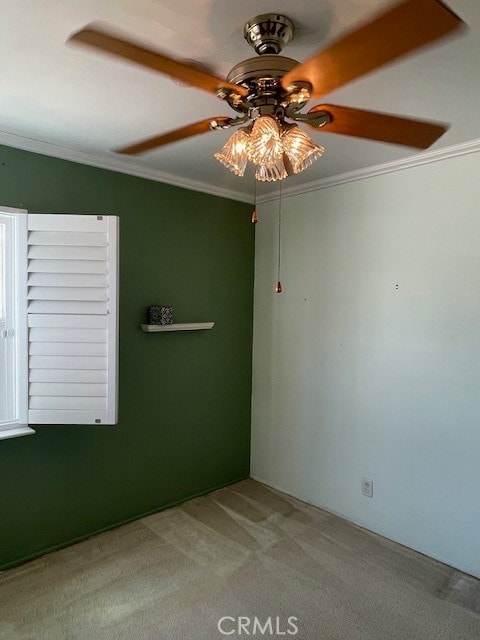 unfurnished room featuring ceiling fan, carpet floors, and crown molding