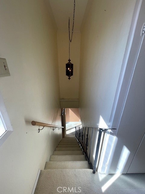 stairway featuring carpet flooring