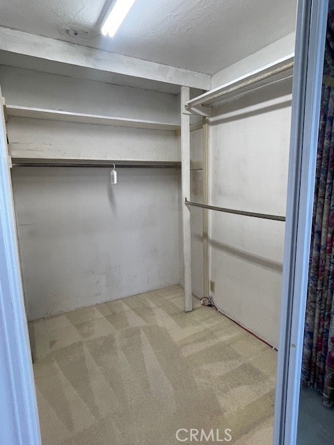 spacious closet with carpet