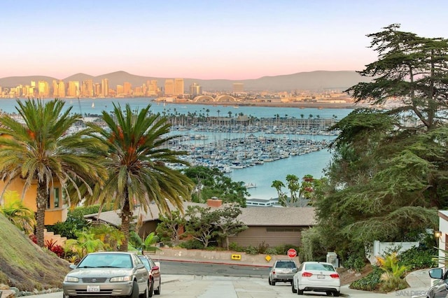 property view of water featuring a mountain view