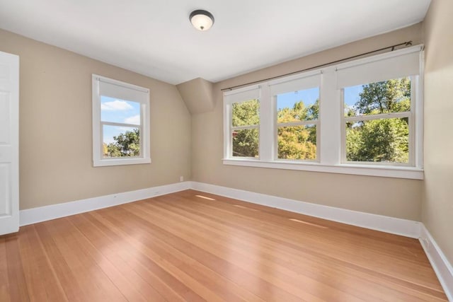 additional living space featuring a healthy amount of sunlight and light hardwood / wood-style flooring