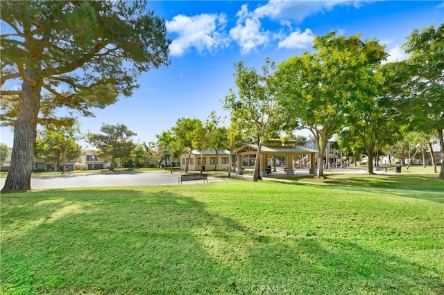 view of home's community featuring a yard