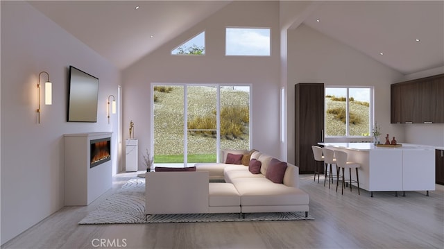 living room featuring high vaulted ceiling and light hardwood / wood-style floors