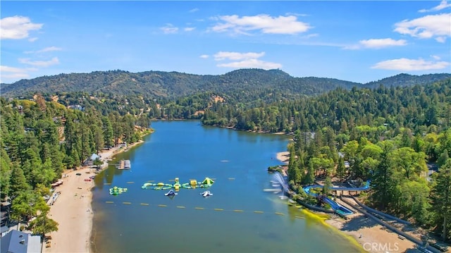 birds eye view of property featuring a water and mountain view