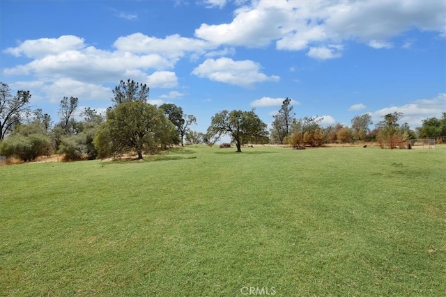 view of yard featuring a rural view