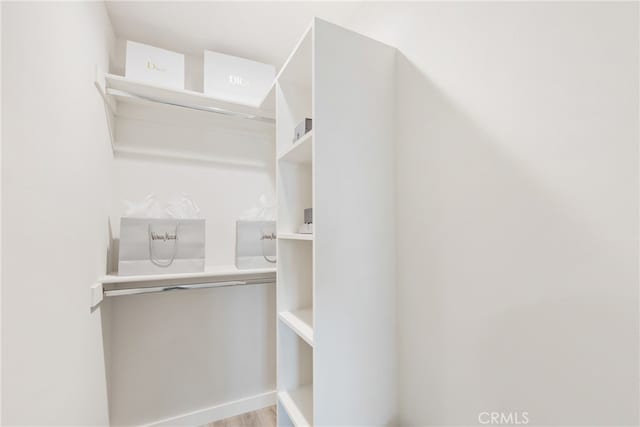 spacious closet with wood-type flooring