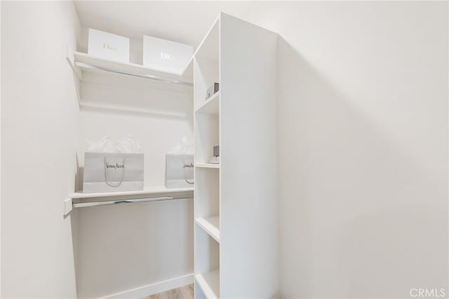 spacious closet with wood-type flooring