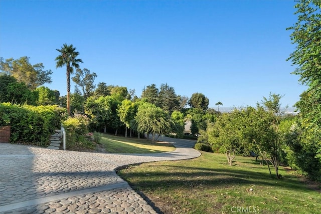 view of property's community with a yard