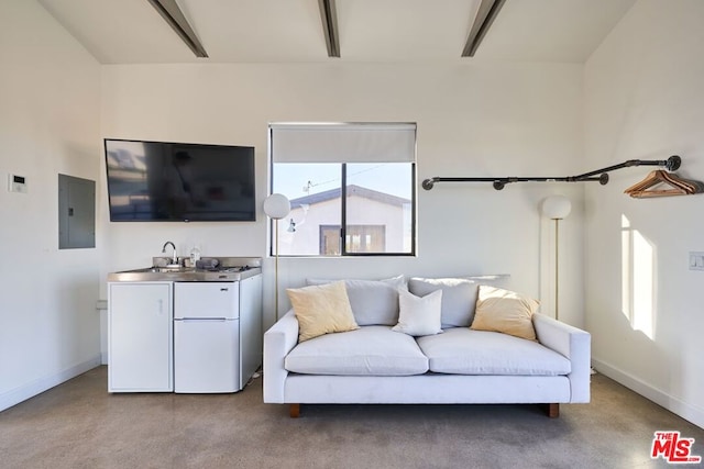 living room with sink and electric panel