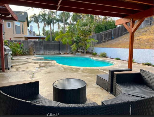 view of swimming pool featuring a patio area and area for grilling