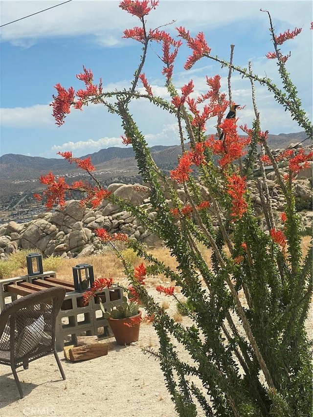 6161 Mirlo Rd, Yucca Valley, CA 92284 - mountain view