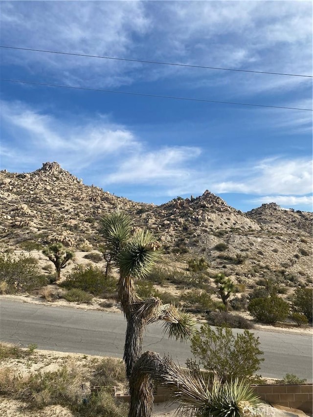 6161 Mirlo Rd, Yucca Valley, CA 92284 - view of mountain feature