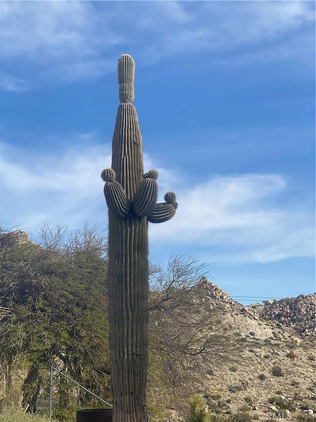 6161 Mirlo Rd, Yucca Valley, CA 92284 - view of details