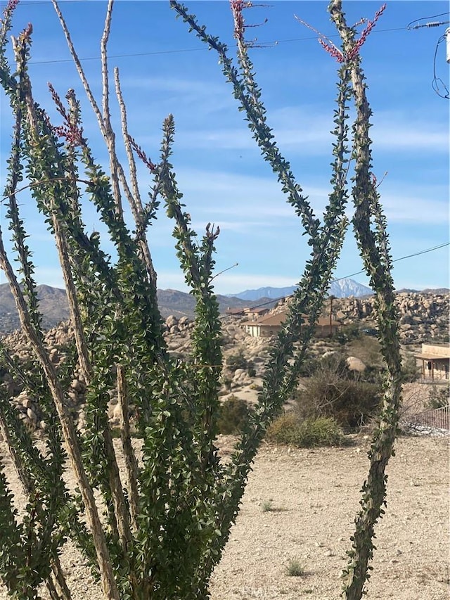 6161 Mirlo Rd, Yucca Valley, CA 92284 - view of mountain feature