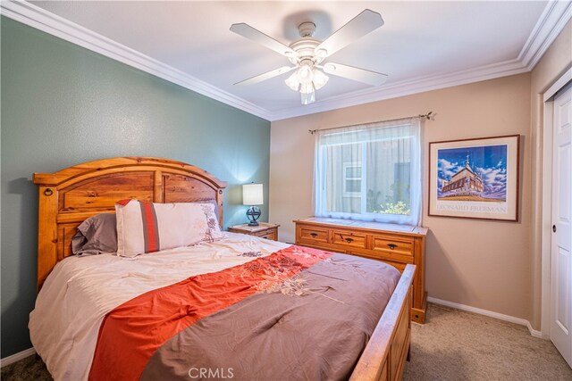 bedroom with ceiling fan, carpet floors, a closet, and ornamental molding