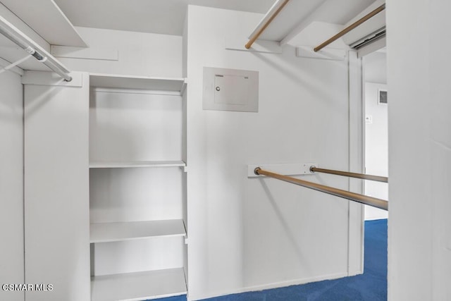 spacious closet with carpet and a wall unit AC