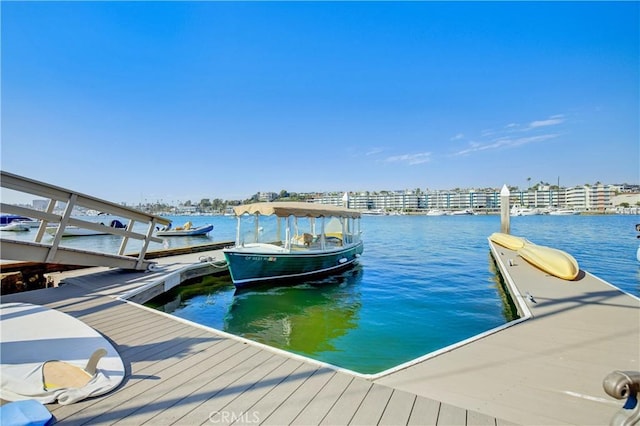 dock area with a water view