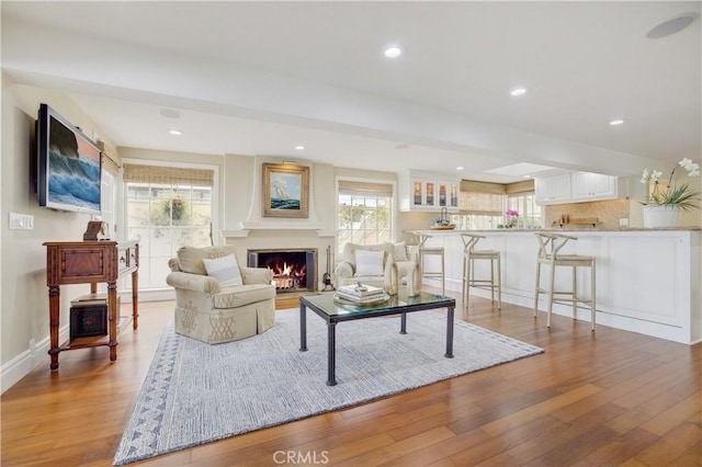 living room with wood-type flooring